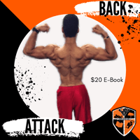 Back ATTACK Ebook 