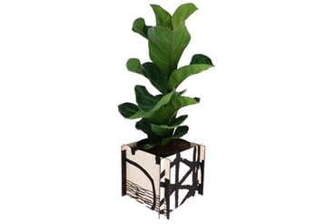 Image of Assemble/Configure Planter (Black)