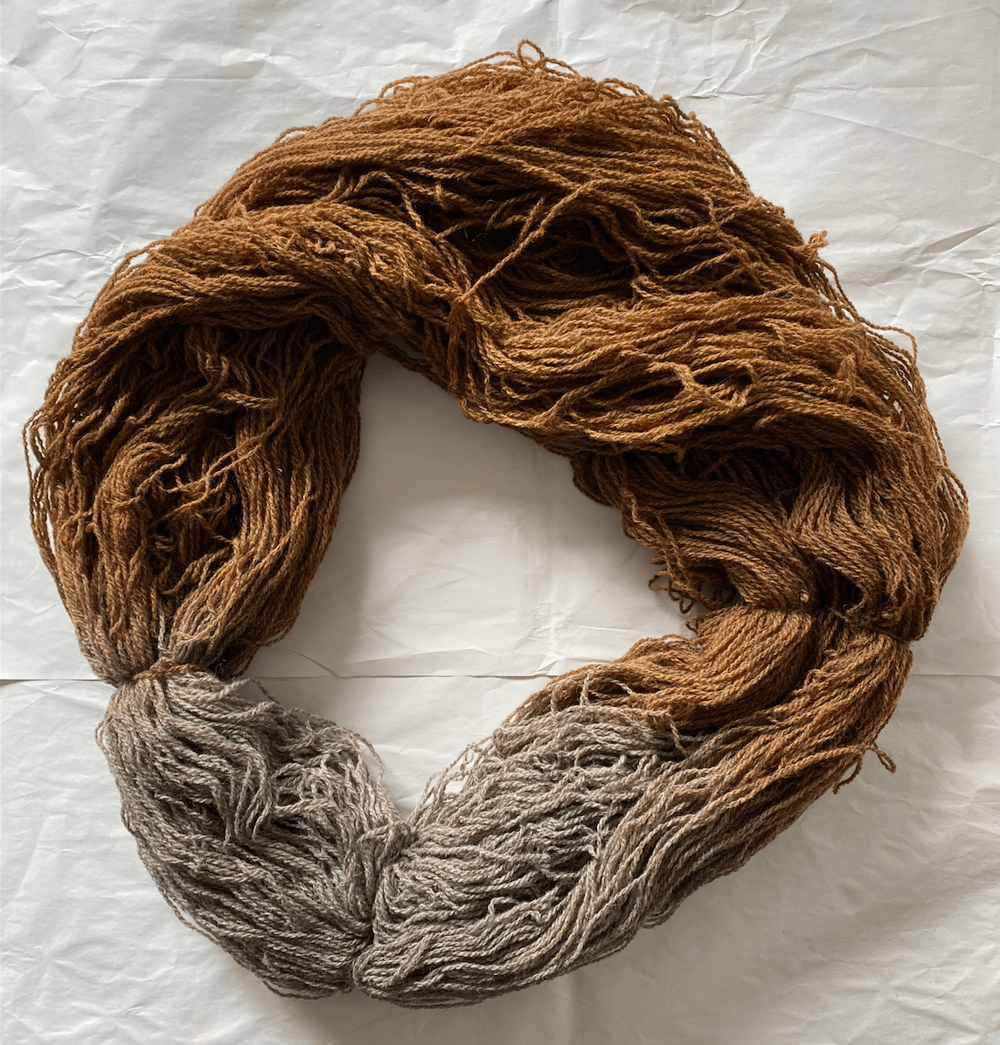 Image of SAMPLE SALE: 312g onion dip-dyed regen.ag Shetland/Romney Bristol Lambswool