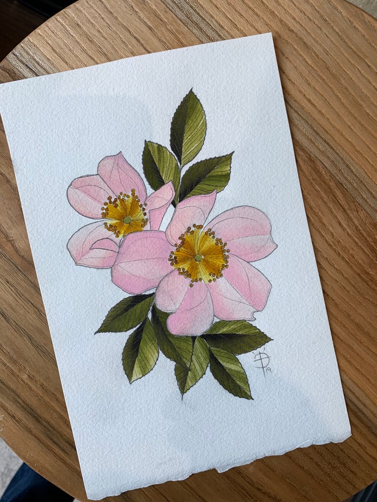Image of Wild roses