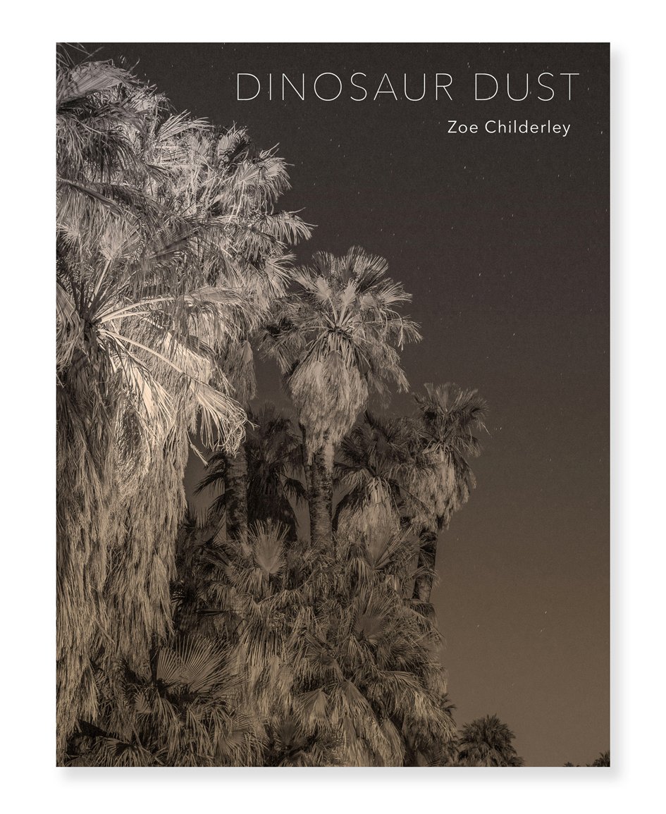 Dinosaur Dust - Zoe Childerley