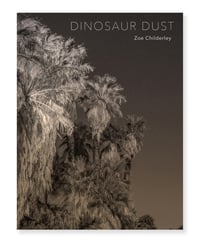 Image 1 of Dinosaur Dust - Zoe Childerley