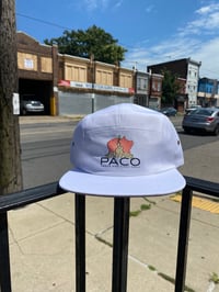 PACO Logo Hat 