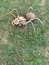 Image 1 of Wood Spider Puzzle (26 pcs)