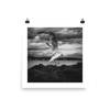 seabird print