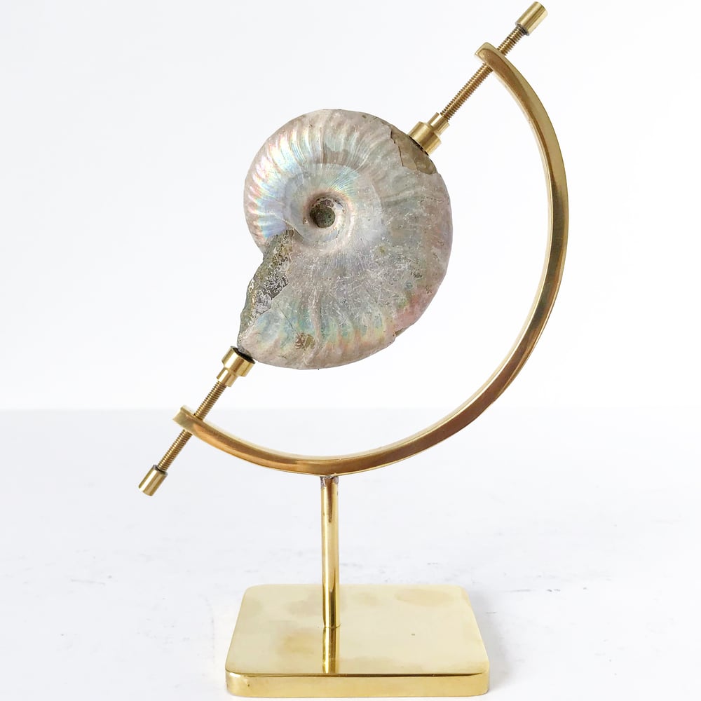 Image of Iridescent Rainbow Ammonite No.66 + Brass Arc Stand