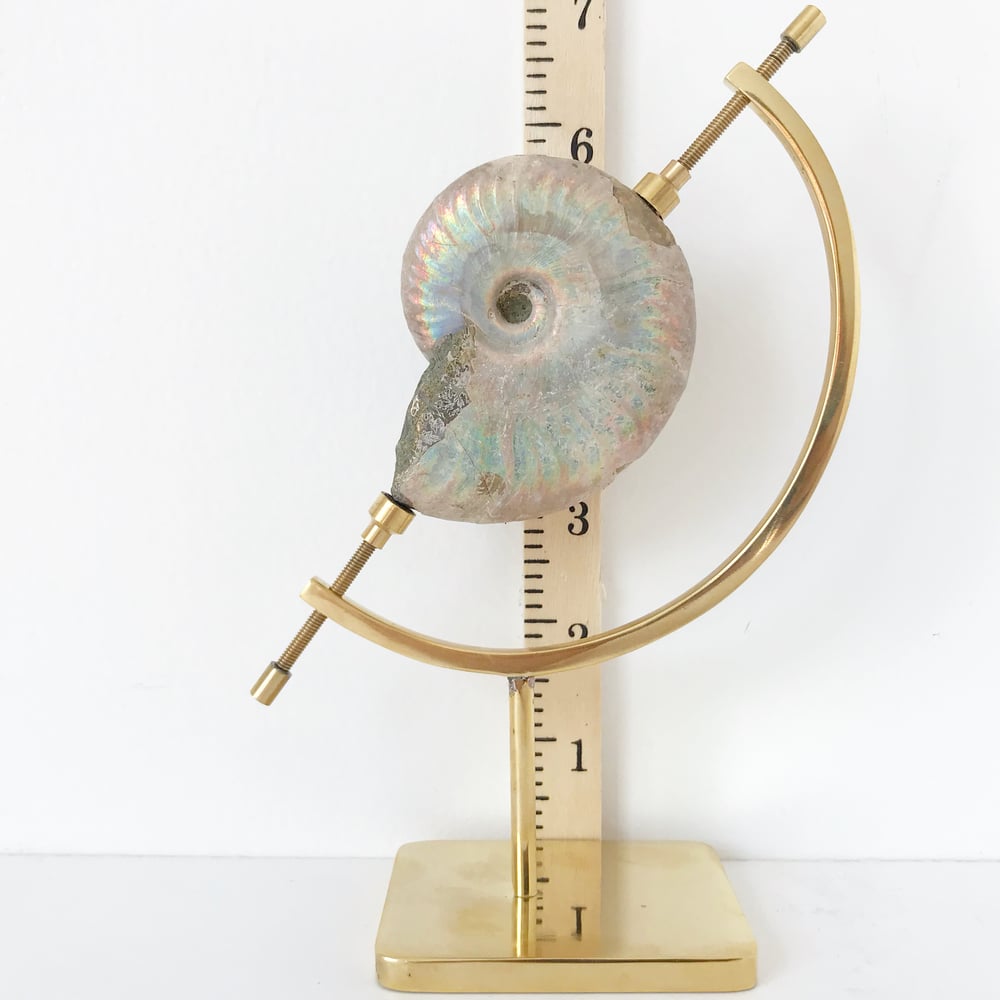Image of Iridescent Rainbow Ammonite No.66 + Brass Arc Stand
