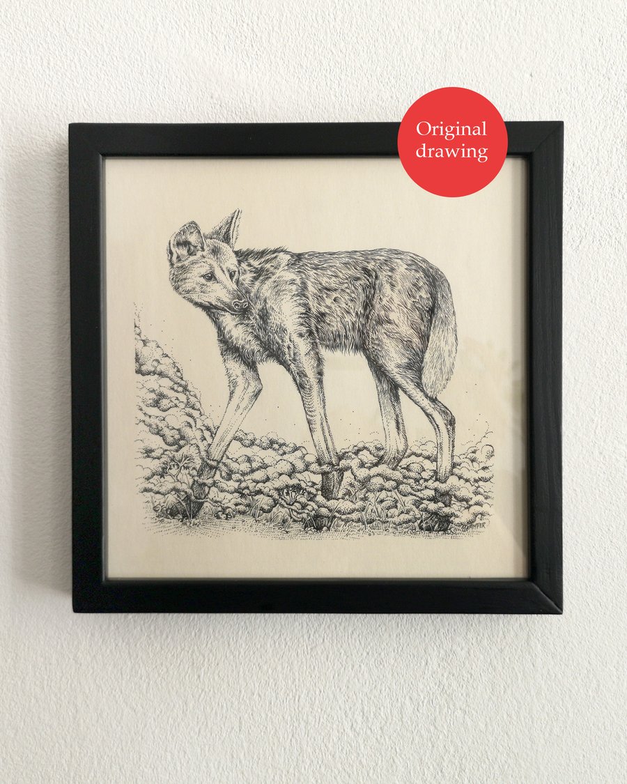 Image of Maned Wolf Original Drawing