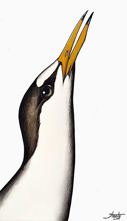Image of CHARLY - 'LITTLE TERN' - ORIGINAL WATERCOLOUR PAINTING