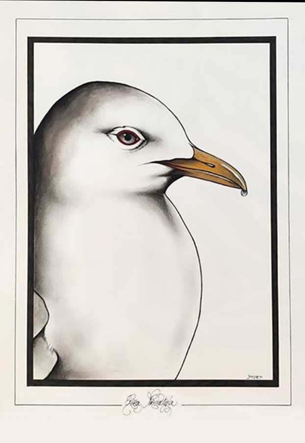 Image of CHARLY - 'KITTIWAKE' - ORIGINAL WATERCOLOUR PAINTING