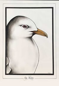 CHARLY - 'KITTIWAKE' - ORIGINAL WATERCOLOUR PAINTING
