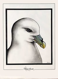 CHARLY - 'FULMARUS GLACIALIS' - ORIGINAL WATERCOLOUR PAINTING