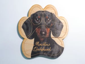 Image of Miniature Dachshund Magnet