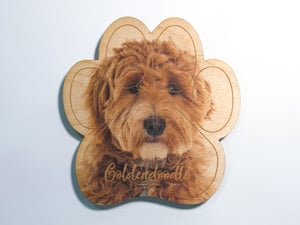 Image of Goldendoodle Magnet