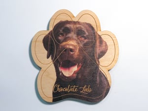 Image of Chocolate Lab Magnet