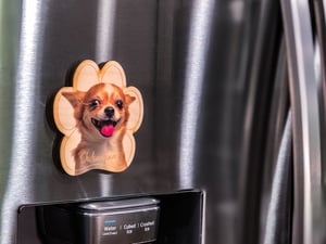 Image of Chihuahua Magnet