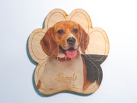 Image 1 of Beagle Magnet