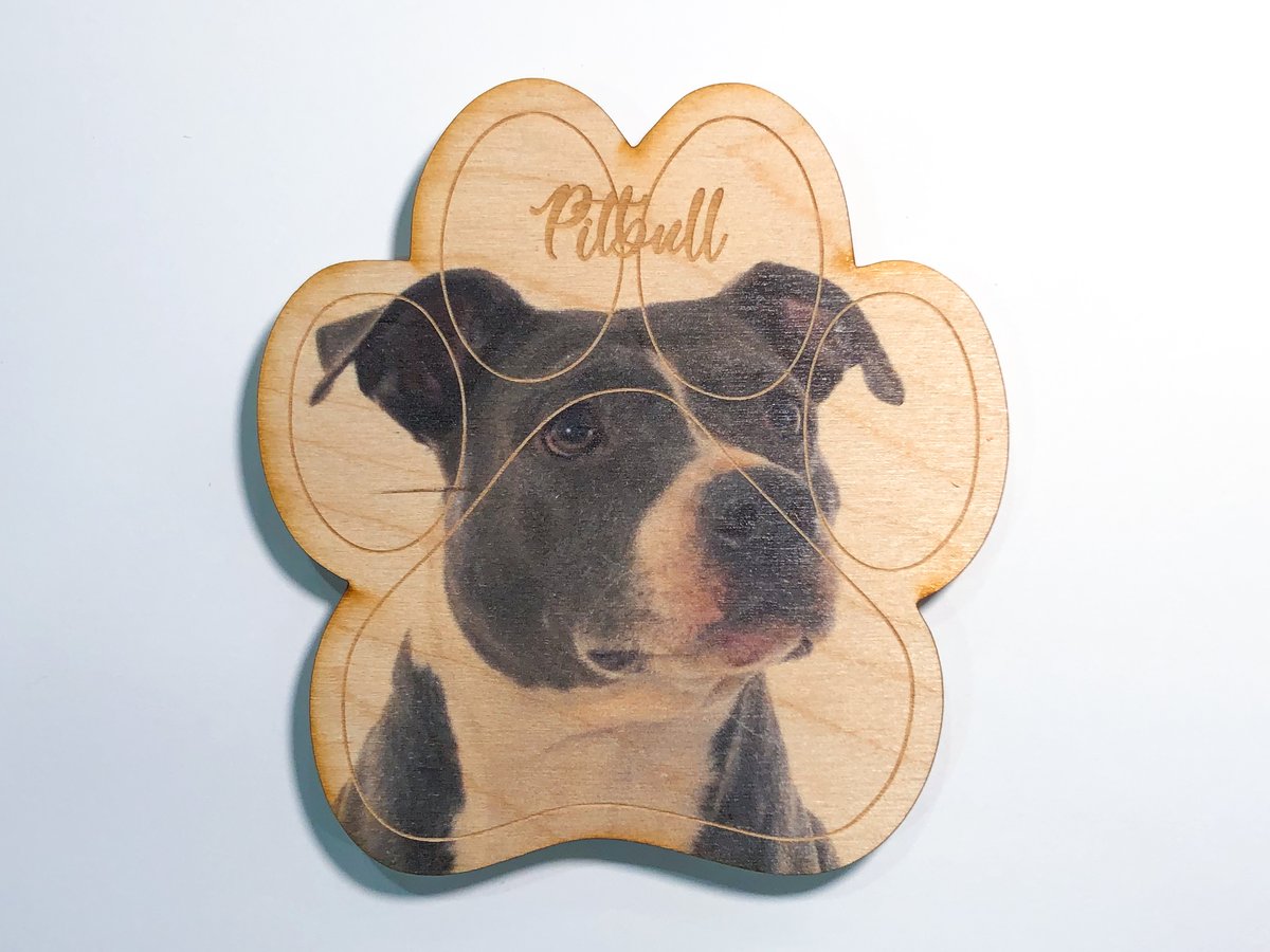 Image of Pitbull Magnet