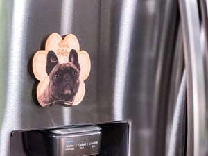 Image of French Bulldog Magnet