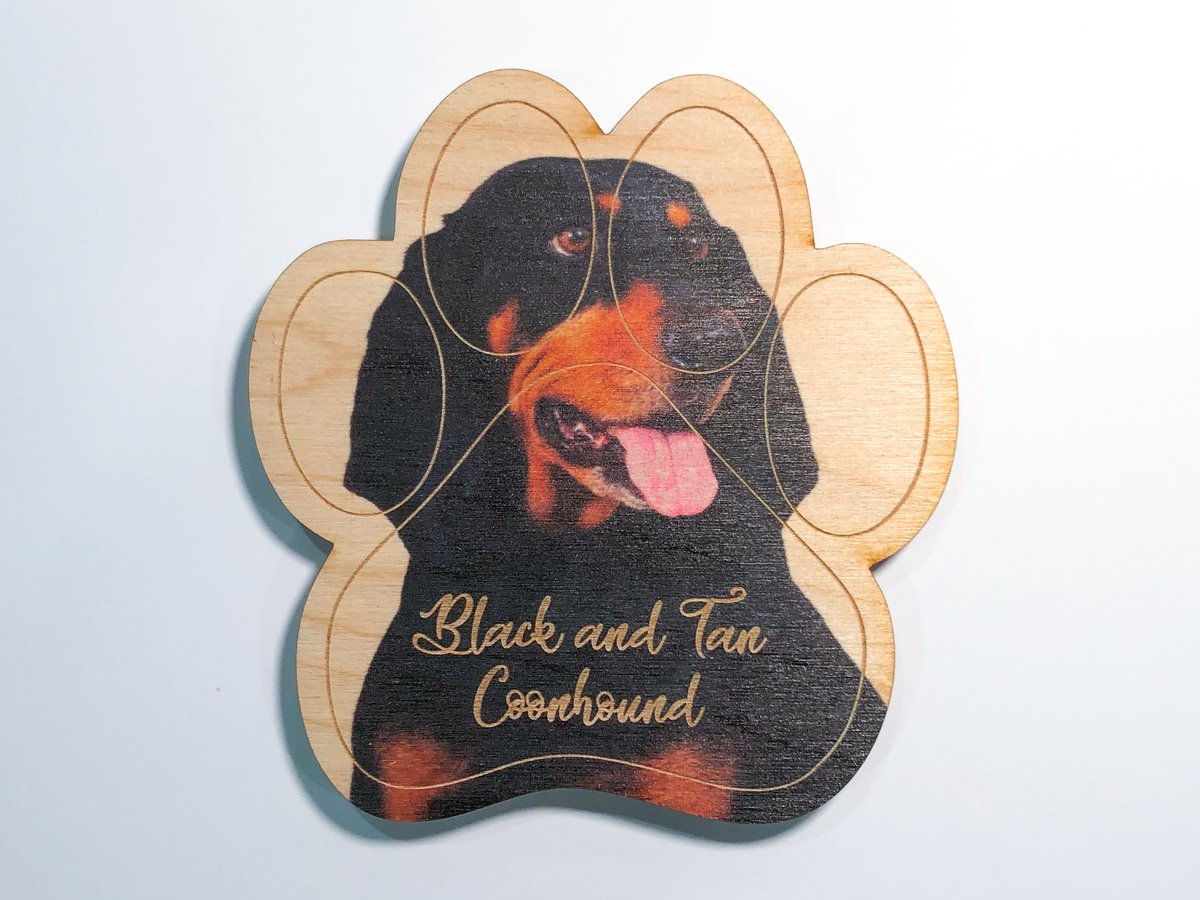 Image of Black and Tan Coonhound Magnet