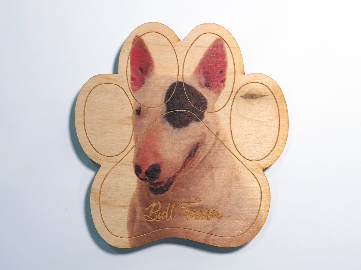 Image of Bull Terrier Magnet
