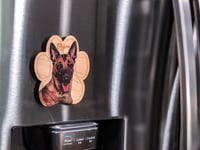 Image 2 of Belgian Malinois Magnet