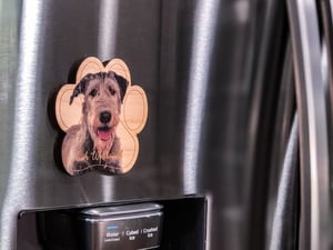 Image of Irish Wolfhound Magnet