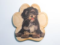 Image 1 of Havanese Magnet