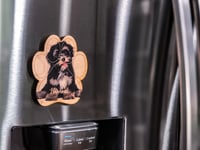 Image 2 of Havanese Magnet