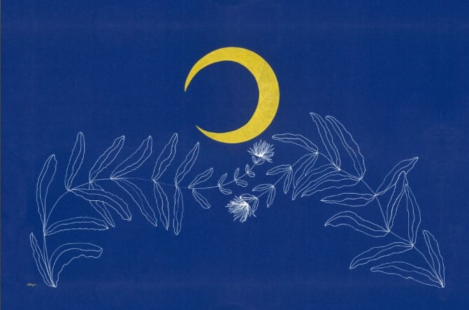 Image of Calendula + Crescent Moon