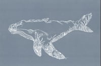 San Juan Whale + Sea Greens 