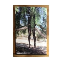 Image 3 of 'ONLY IN AMERICA' : D'ANGELO LOVELL WILLIAMS (SIGNED)