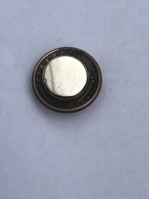Image of Washington Eagle Quarter Magnet