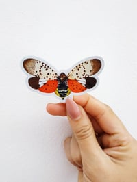 Image 2 of Insect Vinyl Sticker, Lanternfly 