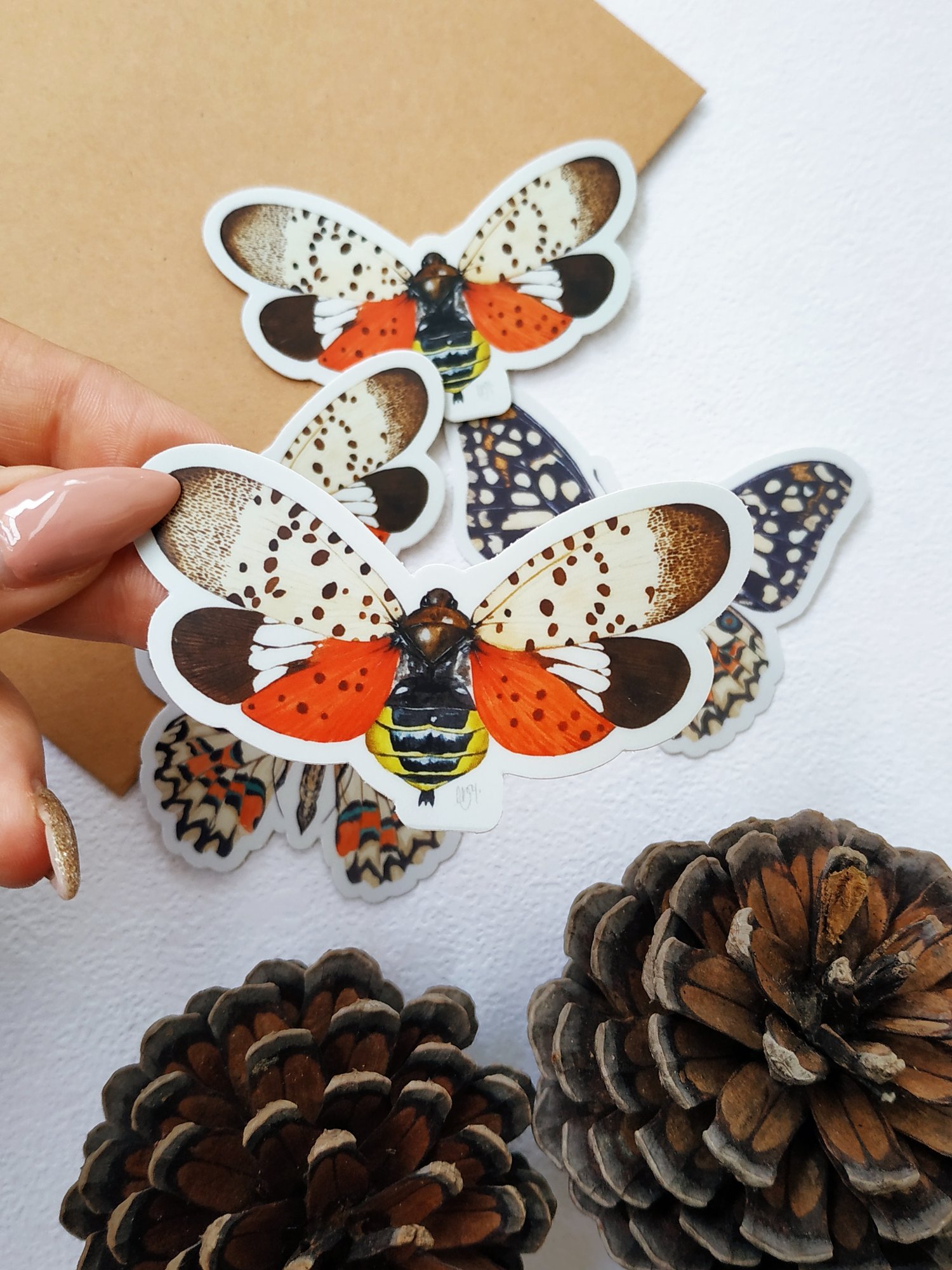 Image of Insect Vinyl Sticker, Lanternfly 