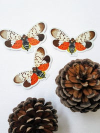 Image 4 of Insect Vinyl Sticker, Lanternfly 