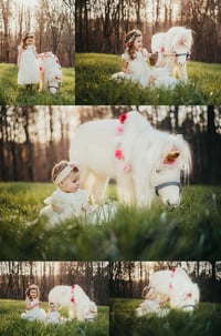 Image 1 of 5/15/ petite UNICORN sessions