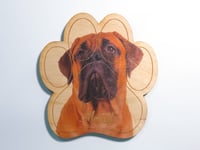 Image 1 of Mastiff Magnet