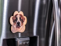 Image 2 of St. Bernard Magnet