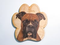 Image 1 of Boxer Magnet