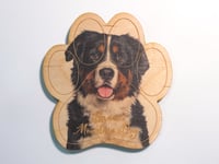 Image 1 of Bernese Mountain Dog Magnet