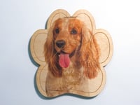 Image 1 of Cocker Spaniel Magnet