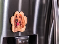 Image 2 of Cocker Spaniel Magnet