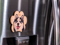 Image 2 of Huskey Magnet