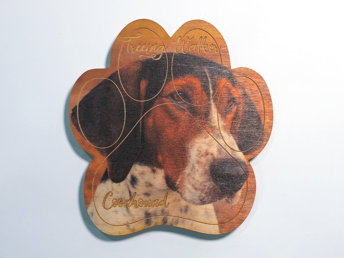 Image of Treeing Walker Coonhound Magnet