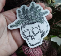 Image 1 of Fern Head Sticker