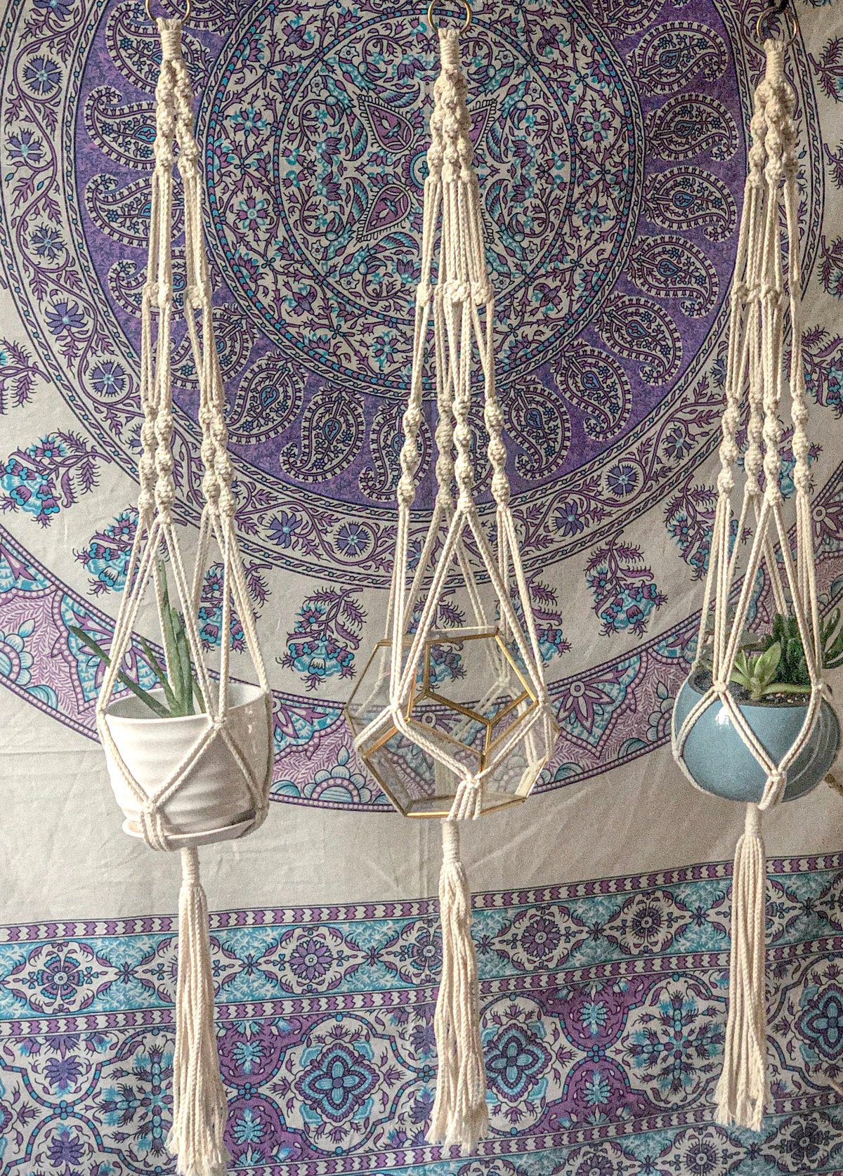 Image of 41” Macrame Plant Hanger - Set of 3