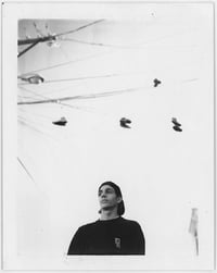 Image 5 of Polaroids 92-95 (CA) by Ari Marcopoulos