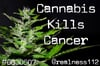 Cannabis Kills Cancer!! #6630507