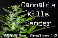 Image 2 of Cannabis Kills Cancer!! #6630507